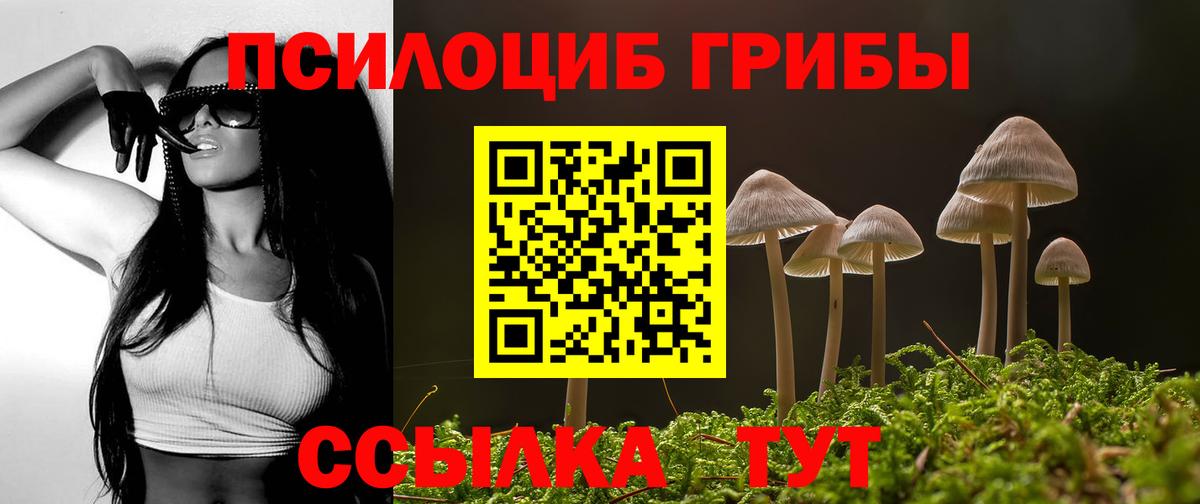 Фролово  Псилоцибиновые грибы Magic Shrooms  Вход с VPN 